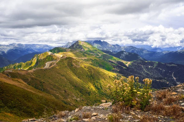 Blick von oben auf das Bergtal, Blumen und Gras im Vordergrund — Stockfoto