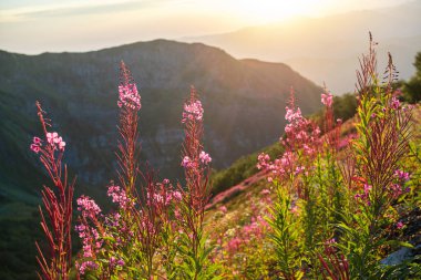 Dağlarda gün batımı. Güzel dağ manzarası, farklı arazi,