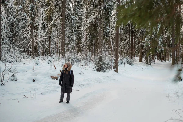 Winterwandeling door het bos, besneeuwd mooi dennenbos. — Stockfoto