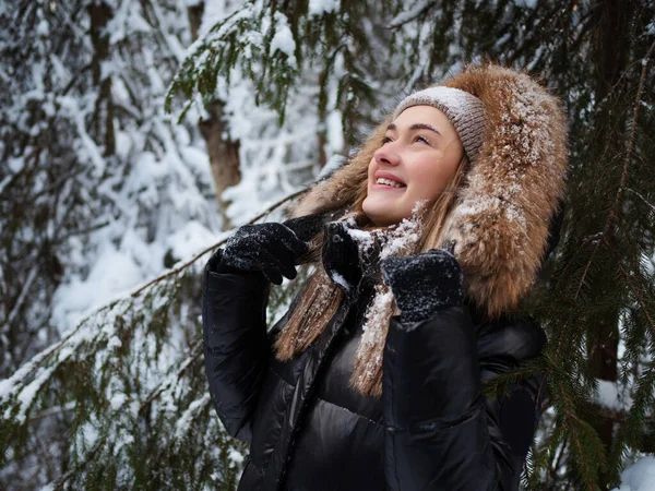 Musim dingin berjalan melalui hutan, tertutup salju hutan pinus yang indah. — Stok Foto