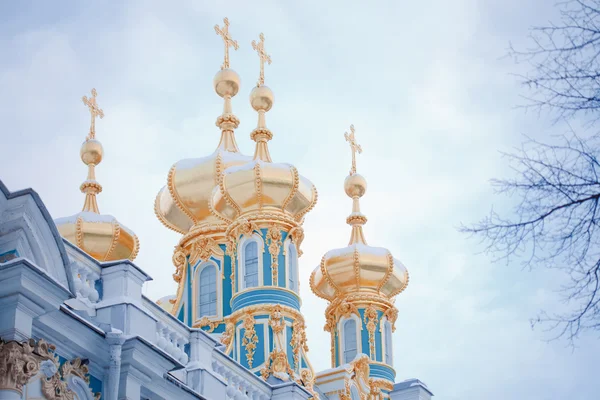 The Catherine Palace — Stock Photo, Image