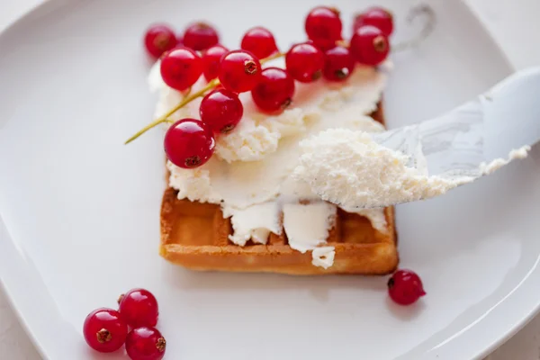 Plate of belgian waffles with cream cheese — Stock Photo, Image