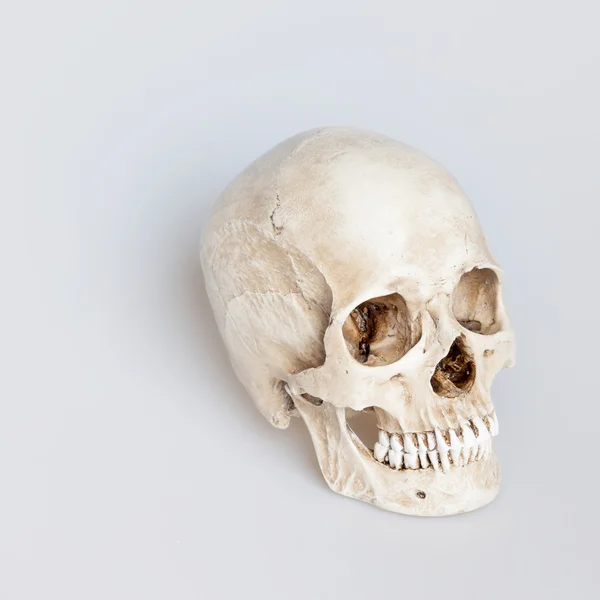 Crâne humain sur fond blanc isolé, à côté — Photo