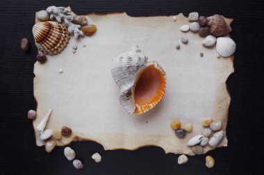 Old scroll of parchment with sea pebbles and seashells, nautical theme, place for text