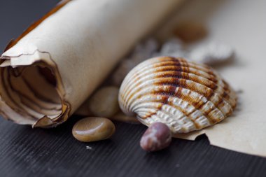 Parşömen metin için deniz çakıl ve kabukları, deniz Tema, yer ile eski kaydırma