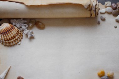 Old scroll of parchment with sea pebbles and seashells, nautical theme, place for text