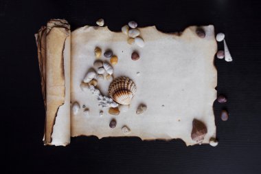 Parşömen metin için deniz çakıl ve kabukları, deniz Tema, yer ile eski kaydırma