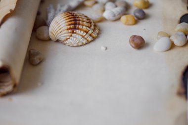 Parşömen metin için deniz çakıl ve kabukları, deniz Tema, yer ile eski kaydırma
