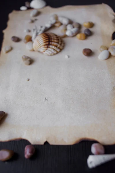 Régi lapozzunk a pergamen, a tenger kavicsos és tengeri kagylókból, tengeri téma, hely szöveg — Stock Fotó