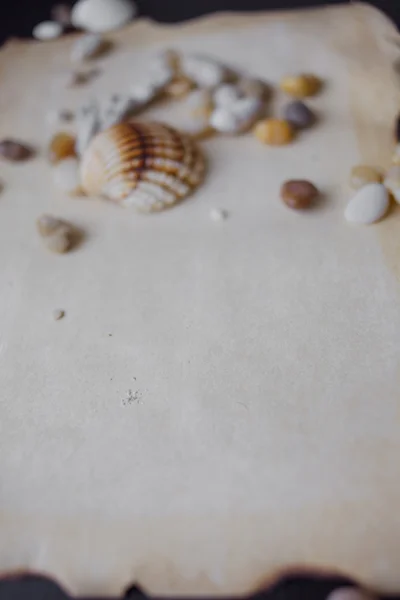 Velho pergaminho de pergaminho com seixos e conchas marinhas, tema náutico, lugar para texto — Fotografia de Stock