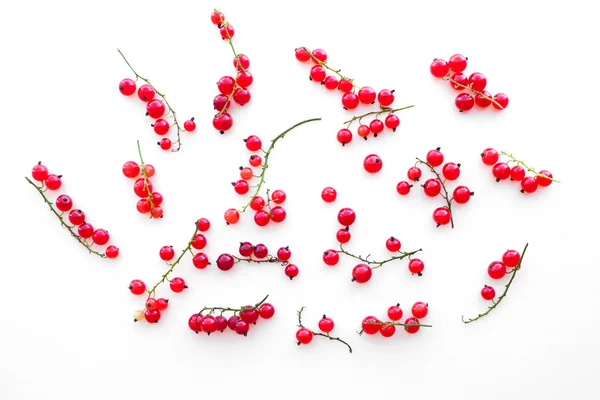 Background of scattered twigs with red currants, isolated — Stock Photo, Image