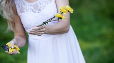 Kesme çiçekler çiçekçi kaynaklanıyor, closeup el makası ile