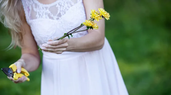 Florist cutting flowers stems, closeup of female hand with shears — Stock Photo, Image