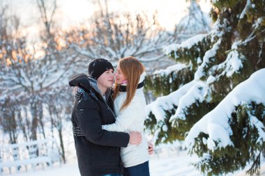 Genç çift ormanda yürür, adam ve kız karlı Ladin kucaklayan kapatın