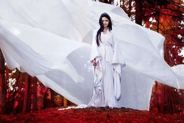 Kahraman Doğu felsefesi. Asyalı kadın beyaz kimono samuray kılıcı tutan