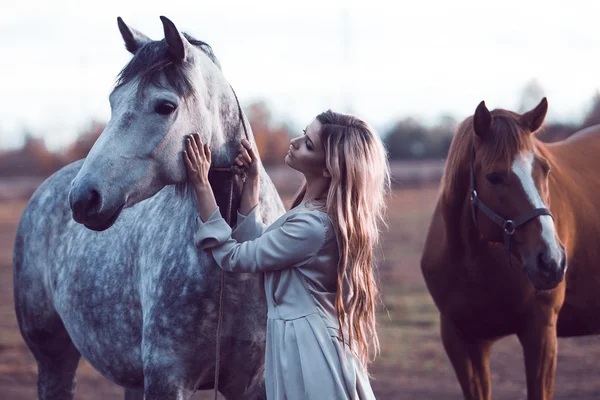 Belleza rubia con caballo en el campo, efecto de tonificación —  Fotos de Stock