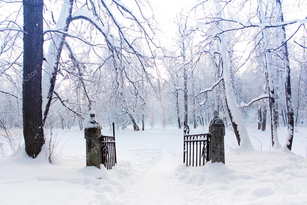 Snowy Landscape. Gate to winter Wonderland
