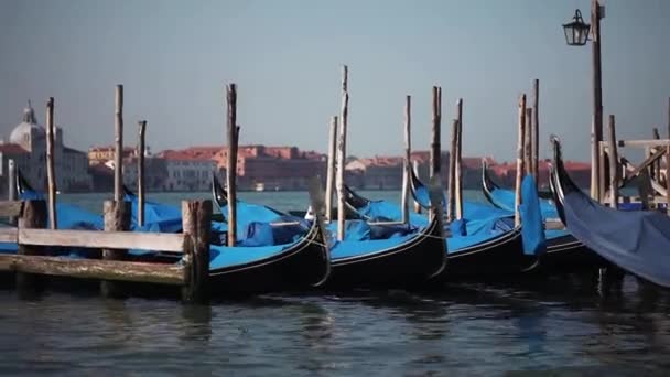 Wenecja, gondole i San Giorgio Maggiore zabytkowy kościół na tle. Włochy, Europa. — Wideo stockowe