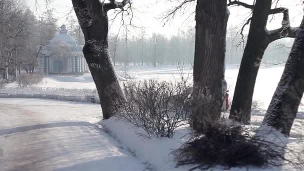 Оборудование для уборки снега в парке, зима — стоковое видео