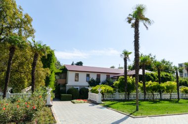 Nikita Botanik Bahçesi. Kırım'da, Yalta.