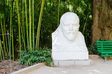 Lenin anıt Nikitsky Botanik Bahçesi içinde.