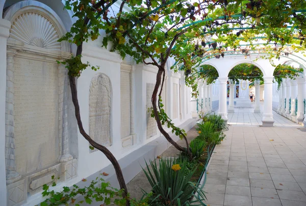 Patio de uva en las kenassas karaítas. Yevpatoria . — Foto de Stock