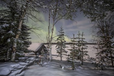 Aurora borealis ışıklar altında kış orman. Kuzey Karelya. Rusya.