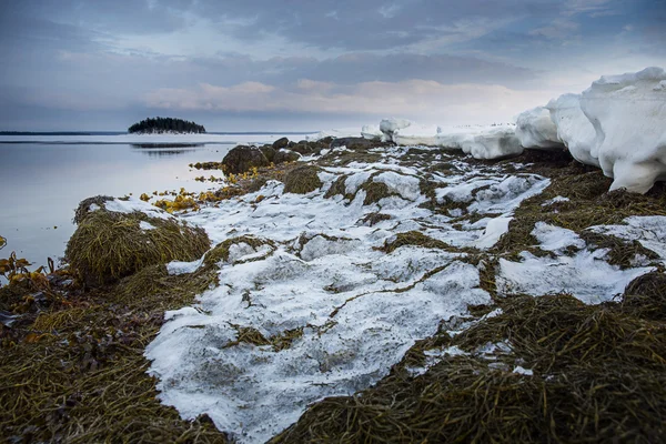 Zeewier kust van de Witte Zee tijdens de zonsondergang. Noord-Karelië. Rusland — Stockfoto