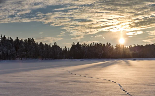 Zonsondergang weiland in winter woud. Witte Zee kust. Noord-Karelia. Rusland — Stockfoto