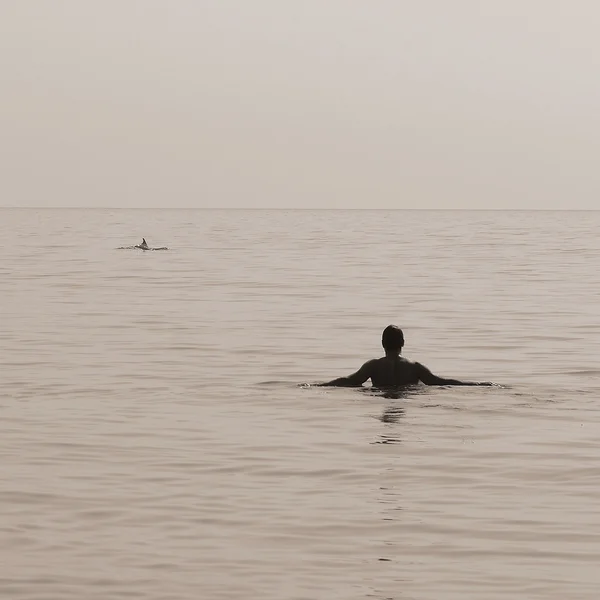 Zwemmen met dolfijnen — Stockfoto