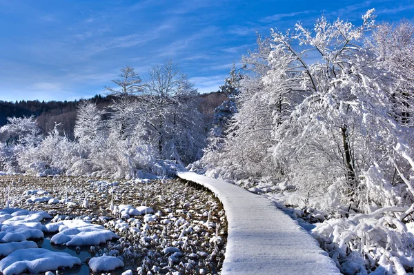 Weg naar de Winter Wonderland — Stockfoto