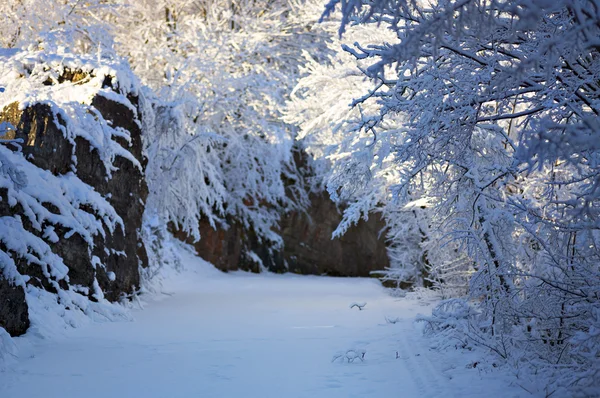 Karla kaplı yol — Stok fotoğraf