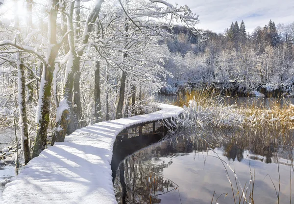 Snowy Catwalk Over the Pond — Stock Photo, Image