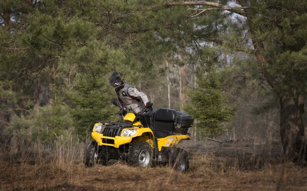 Endişeli 4 x 4 sürücü