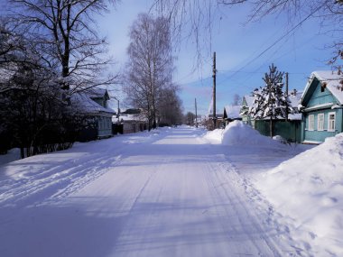 Beyaz karla kaplı ağaçlar 