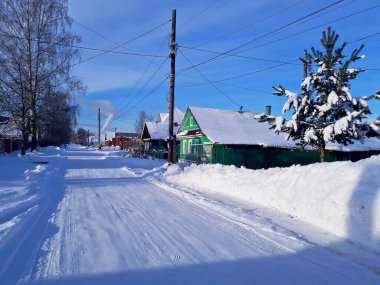 Beyaz karla kaplı ağaçlar 