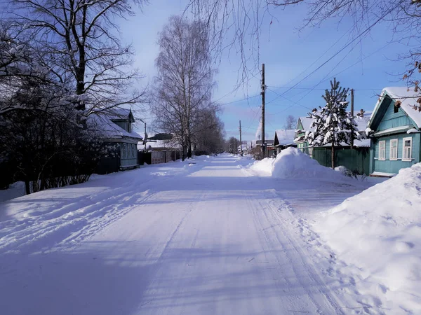 Beyaz karla kaplı ağaçlar 