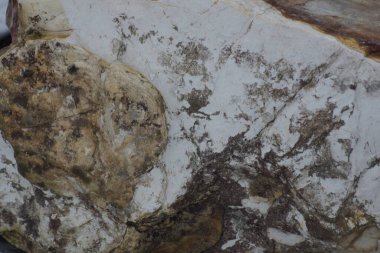 Büyük gri ıslak taş