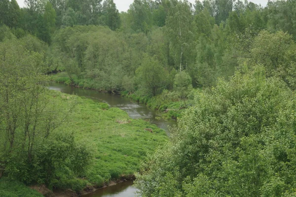 Une petite rivière coule à travers un fourré — Photo