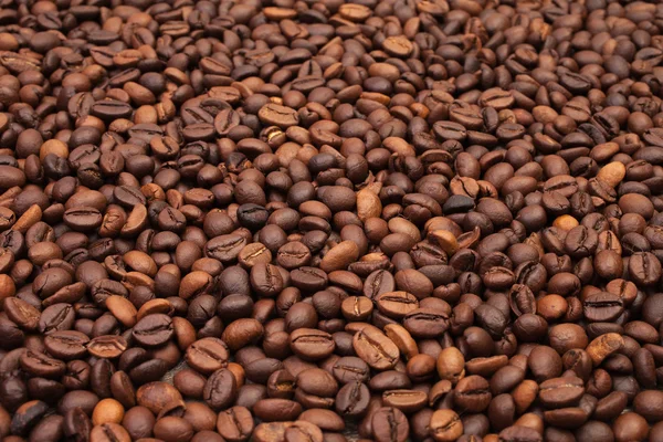 Coffee beans — Stock Photo, Image