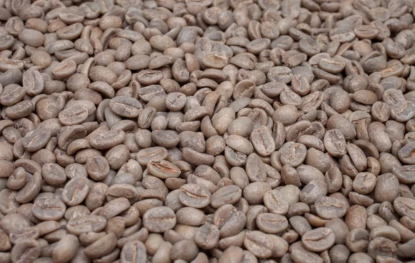 Kávová zrna zelené a pražené — Stock fotografie