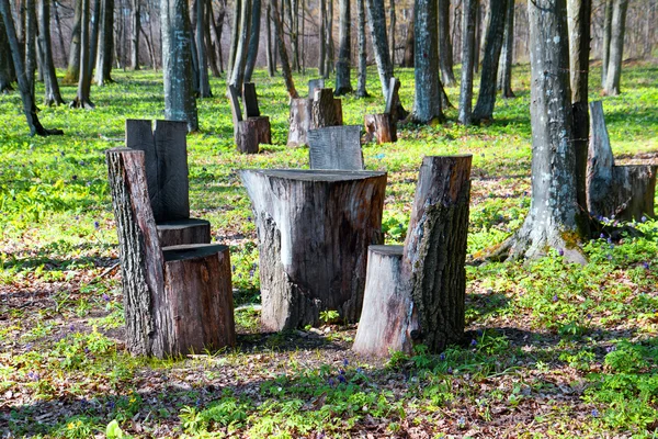 桌子和椅子的木树干树桩。休息的地方 — 图库照片