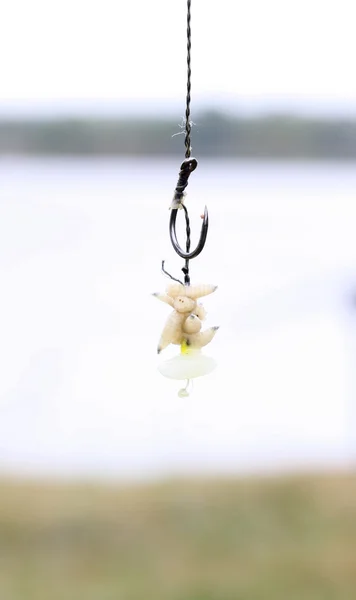 Maggot on a hook — Stock Photo, Image