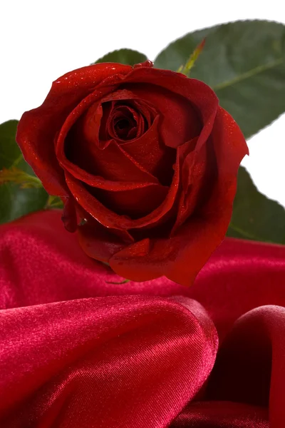 Rode roos op rode zijde — Stockfoto