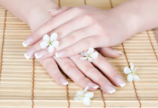 Nails with flower — Stock Photo, Image