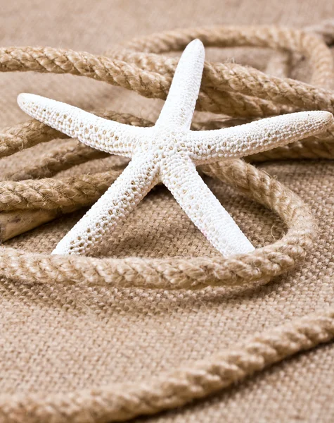 Estrella de mar y cuerda — Foto de Stock