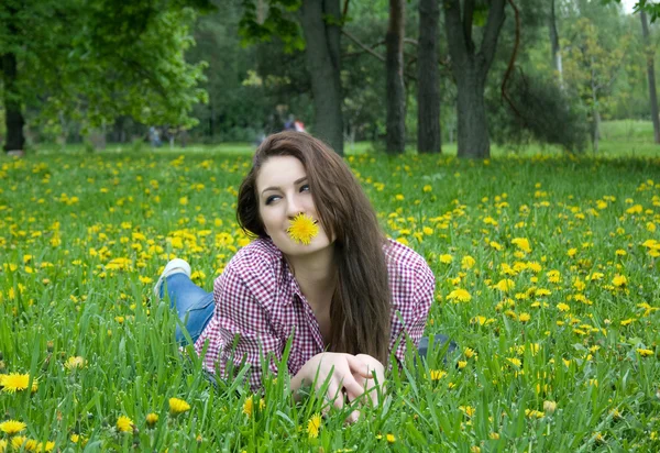 Mooie vrouw op het gras — Stockfoto