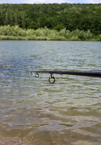 Pólo de pesca — Fotografia de Stock