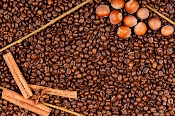 Coffee beans and filberts — Stock Photo, Image