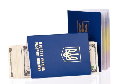 Pasaport Ukrayna bize dolar ile 
